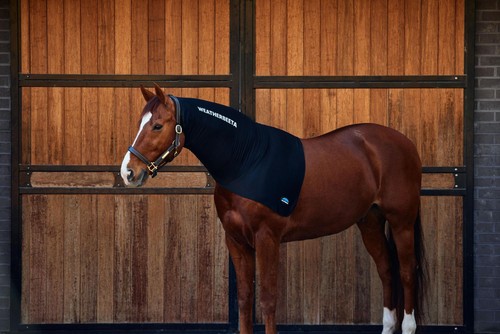 Weatherbeeta stretch neck - neck, |