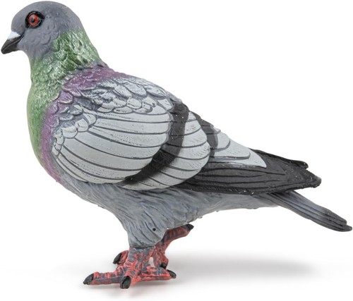 Charming realistic pigeon - charming,