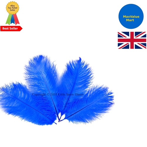 10pcs ostrich feathers plumes - 10pcs,