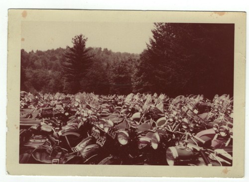 1950s snapshot field - 1950s,