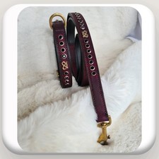Staffy Show Collar & Lead Set