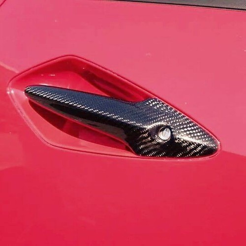 Civic fn2 carbon fibre door - civic,
