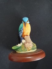 Birds By Russell Willis