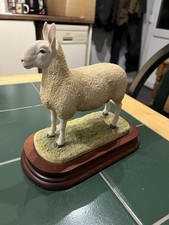 Border Fine Arts Leicester Tup