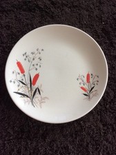 Crown Clarence Staffordshire