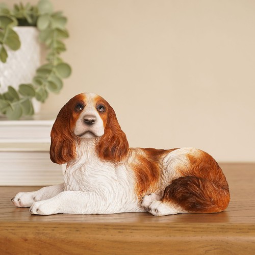 Best breed springer spaniel - breed,