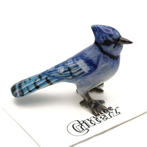 Little critterz bird - -, bluejay