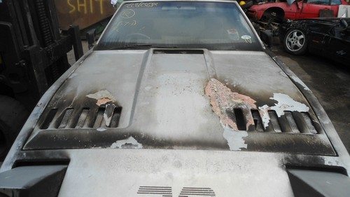 Tvr tasmin bonnet 280i - tasmin,