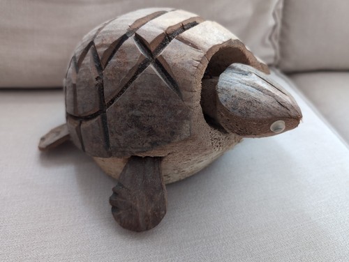 Bobbing head tortoise - bobbing,