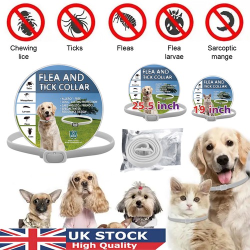 Adjustable anti flea - anti,
