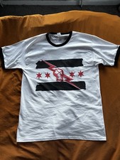 WWE Cm Punk Best In The World