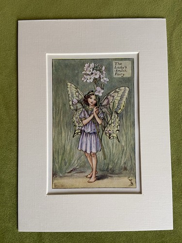 Lady smock flower - ‘lady’s,