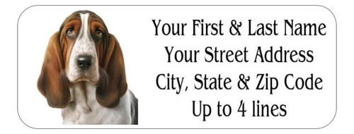 150 basset hound - dog, mailing