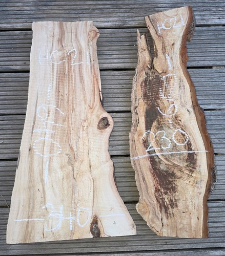 Spalted chestnut timber - spalted,