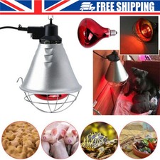 Infrared Heat Lamp Poultry, Puppies, Dog, Kittens Piglets Animals With 250W Bulb