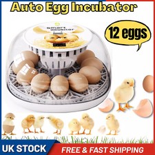 Digital 12 Egg Incubator Temperature Control Automatic Turning Chicken Hatcher