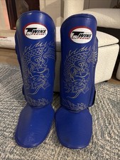 Twins Special Muay Thai Boxing