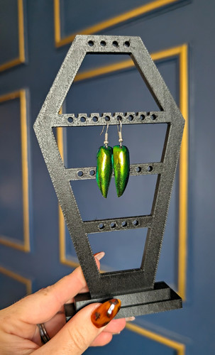 Jewel beetle wing - beetle, earrings