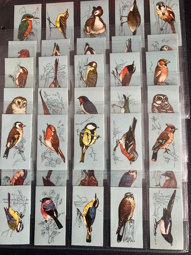 Tea cards british birds - tea, full