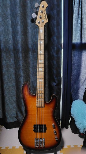 Aria pro active bass gt - aria,