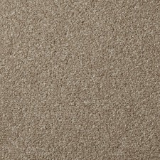 Apollo Plus Carpet- Stepping