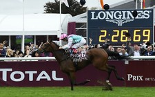 2017 ENABLE FRANKIE DETTORI