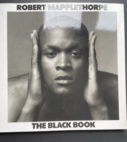 Robert mapplethorpe the - robert, mapplethorpe: