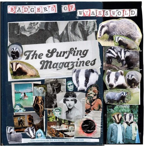 The surfing magazines - the,