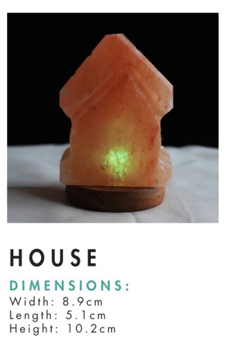 Himalayan pink house - pink, usb