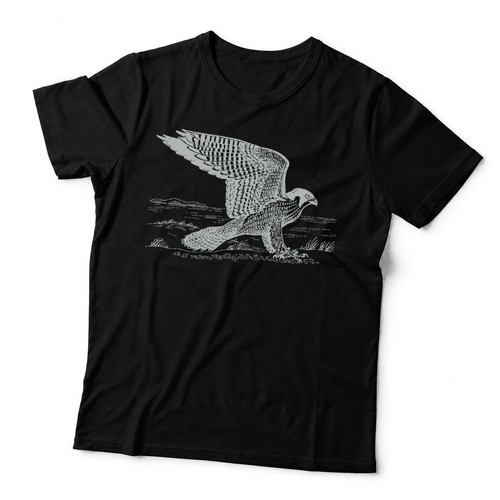 Peregrine falcon hawk - hawk, gift
