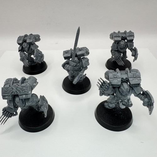 Vanguard veterans marines - marines, x5