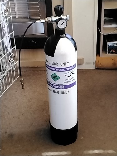 Pcp air gun - pcp, rifle