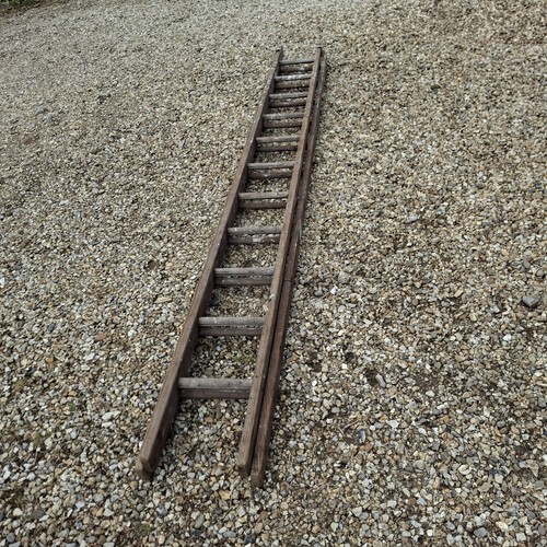 Wooden extending ladder paint - wooden,
