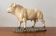 Sherratt & Simpson - CHAROLAIS