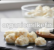 20g Organic Milk Kefir Grains