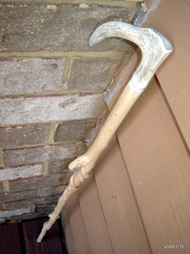 All natural gnarled - all, natural/gnarled