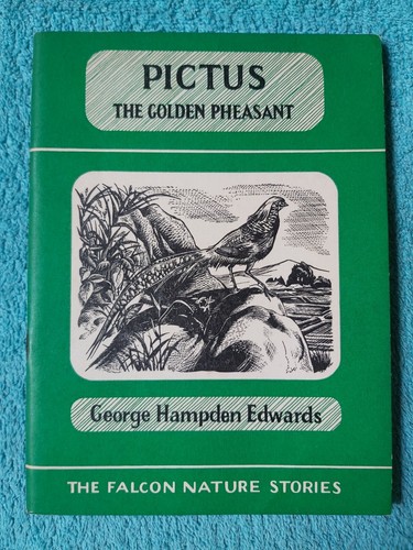 Pictus the golden pheasant - pictus,