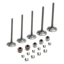 Intake & Exhaust Valve For