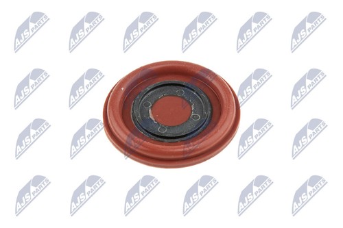 Bpz 002 nty cylinder head - nty,