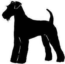I Love Airedale Terrier Socks