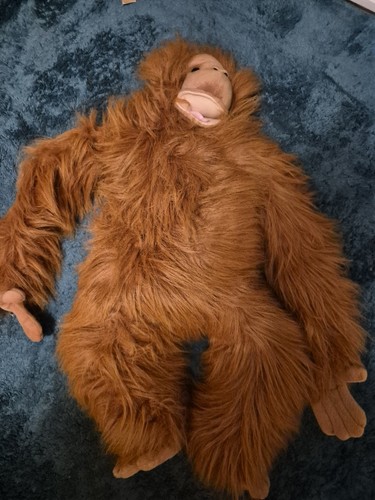 Orangutang puppet from the - from,