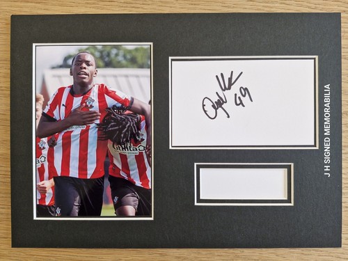 Southampton nicholas oyekunle - southampton,