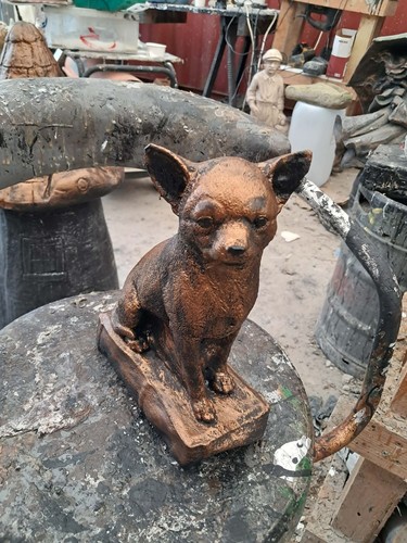 Chiwawa dog latex - dog, and
