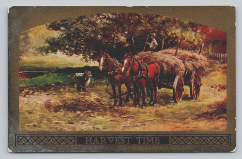 Postcard harvest time - postcard,