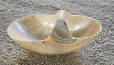 Vintage Hand Carved Nautilus