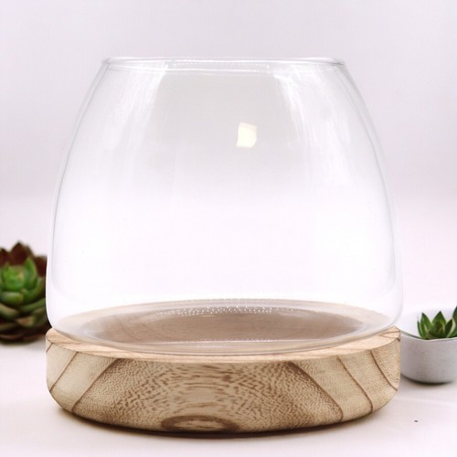 Terrarium glass natural wood - terrarium, &