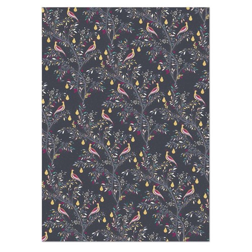 Partridge navy luxury - partridge,