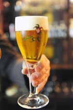 Brugse Zot Belgian Beer Glass