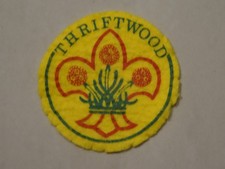 Thriftwood {Camp Site} Scout