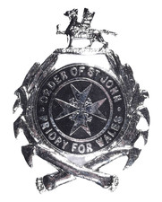Vintage Order Of St John Priory For Wales Nurses Enamel Uniform Brooch Badge